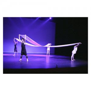 Schoolvoorstelling Dansstudio Dentro in theater COOL